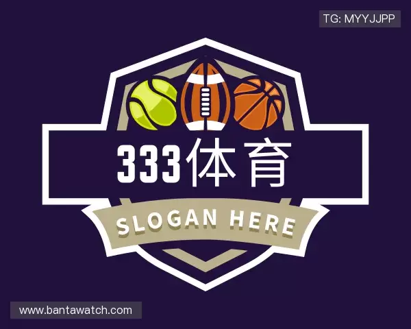 介绍333体育